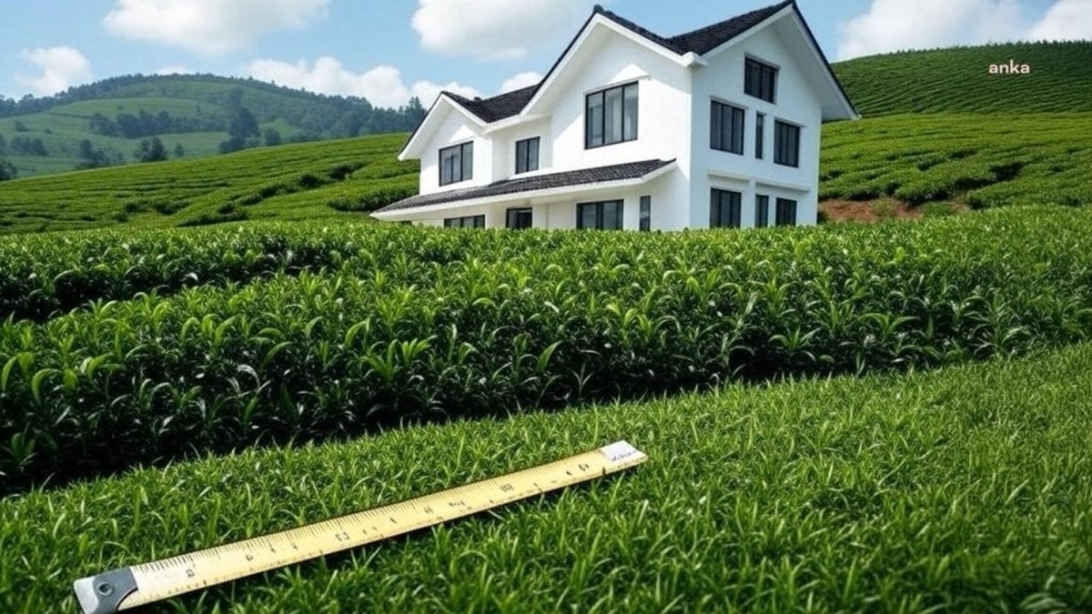 Almanya'da üç ev 36 santimlik çatı fazlalığı nedeniyle yıkılacak