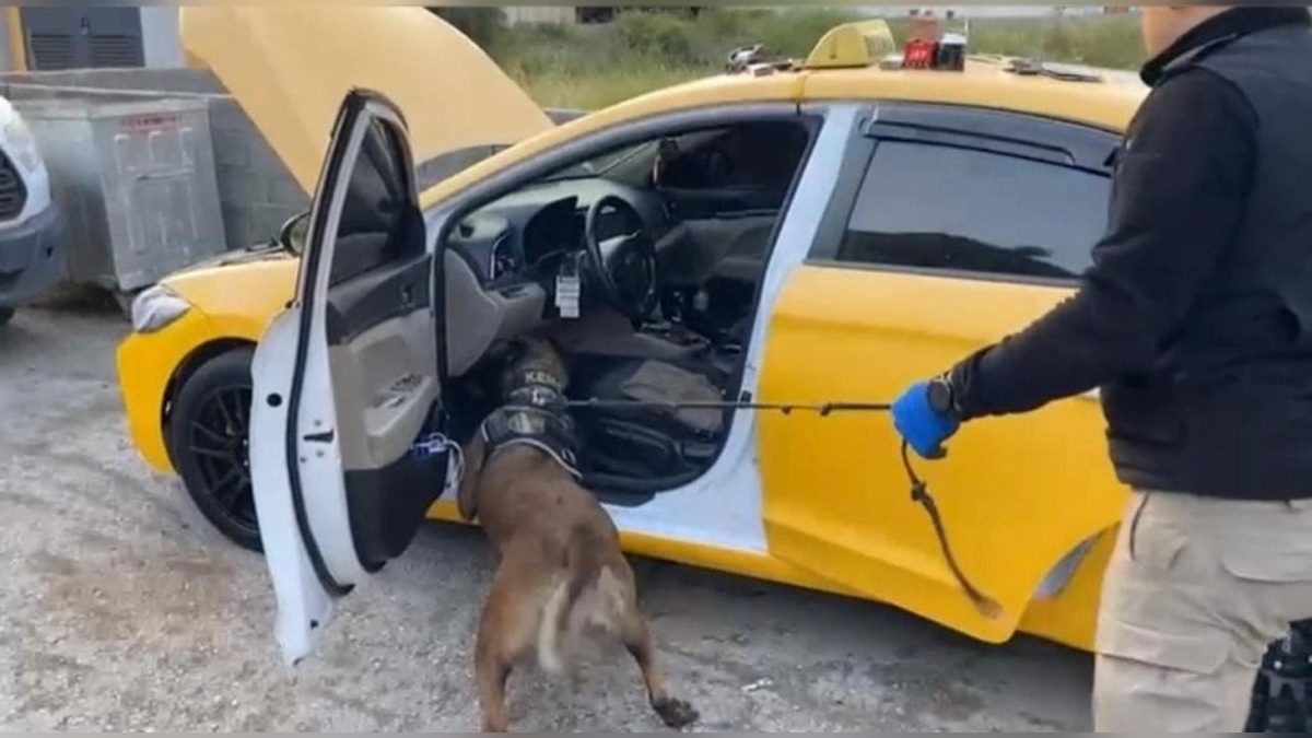 Osmaniye'de uyuşturucu operasyonu: 13 tutuklama