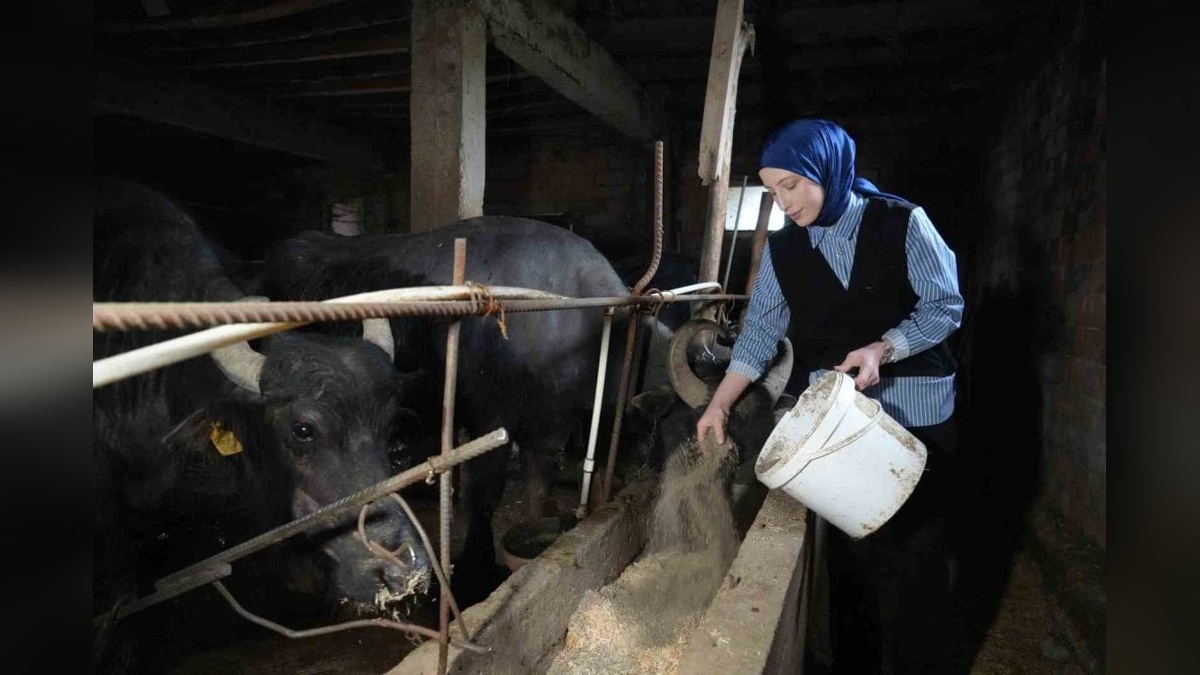 TÜİK verileri: Süt üretimi Mart ayında arttı