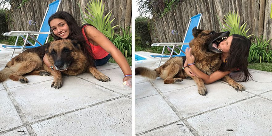 Beraber fotoğraf çektirmek istediği köpek yüzünü ısırdı