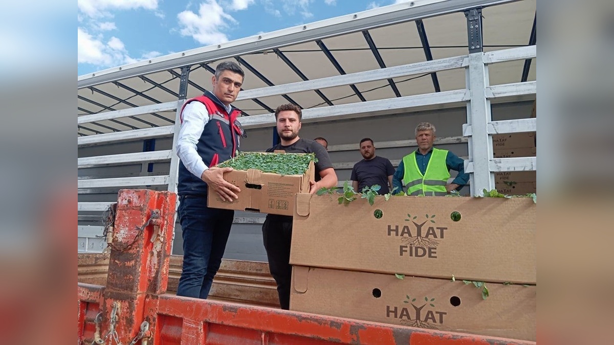 Afyonkarahisar'da domates üretimine 2 milyon TL'lik destek