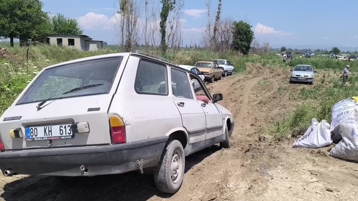 Osmaniye'de çiftçi Bülent Kale: Soğanımı satamadım, tarlamı halka açtım