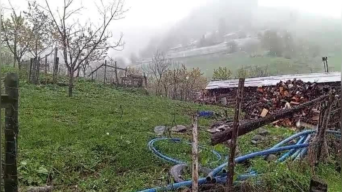 Artvin'de Mayıs Karı: Çiftçiler Tedirgin