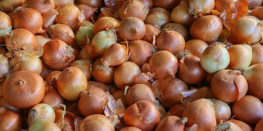 Kayısı ve kuru soğan üretimi 'güldürdü', sarımsak ve Antep fıstığı 'üzdü'