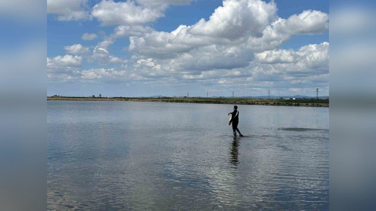 İpsala Kaymakamı Sevgili: Çeltik ekimi başladı, su tasarrufu için tedbir alacağız
