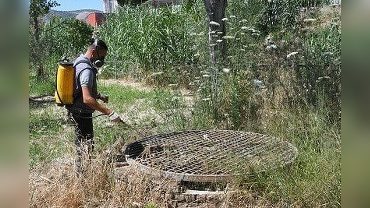 Kuşadası Belediyesi: Yaz dönemi ilaçlama çalışmaları başladı