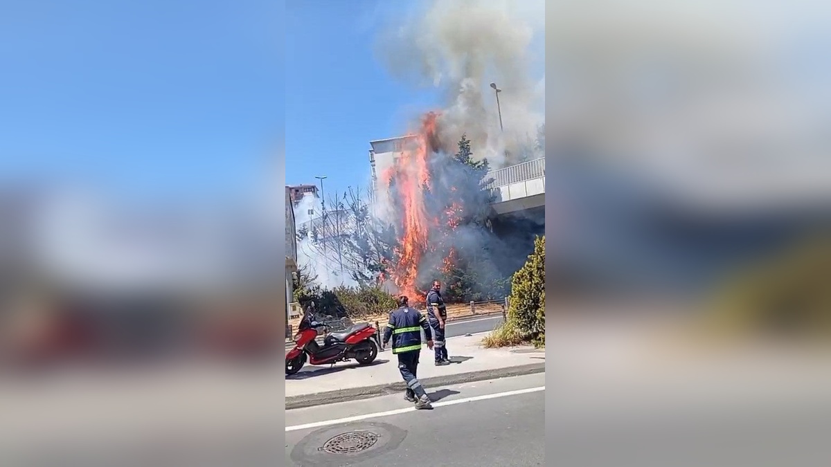 Beşiktaş Etiler'de ağaçlık alan alev alev yandı