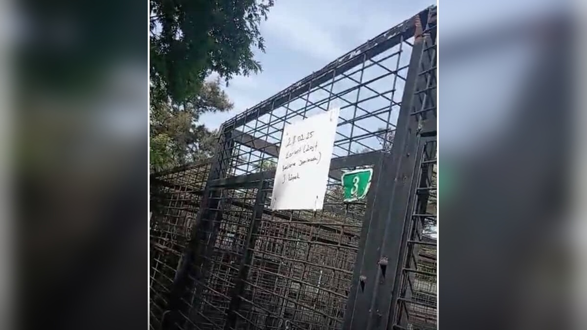 Bursa'da hayvan barınağı müdürü görevden alındı: Hayvanseverlerden tepki