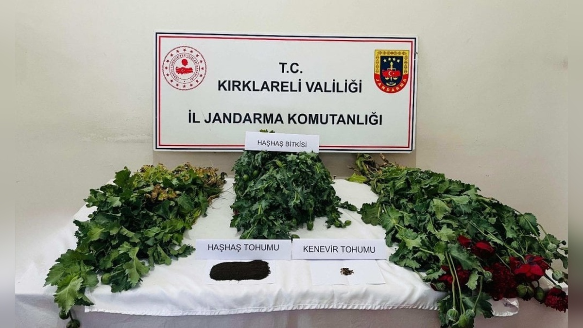 Kırklareli'nde uyuşturucu operasyonu: 8 şüpheli yakalandı
