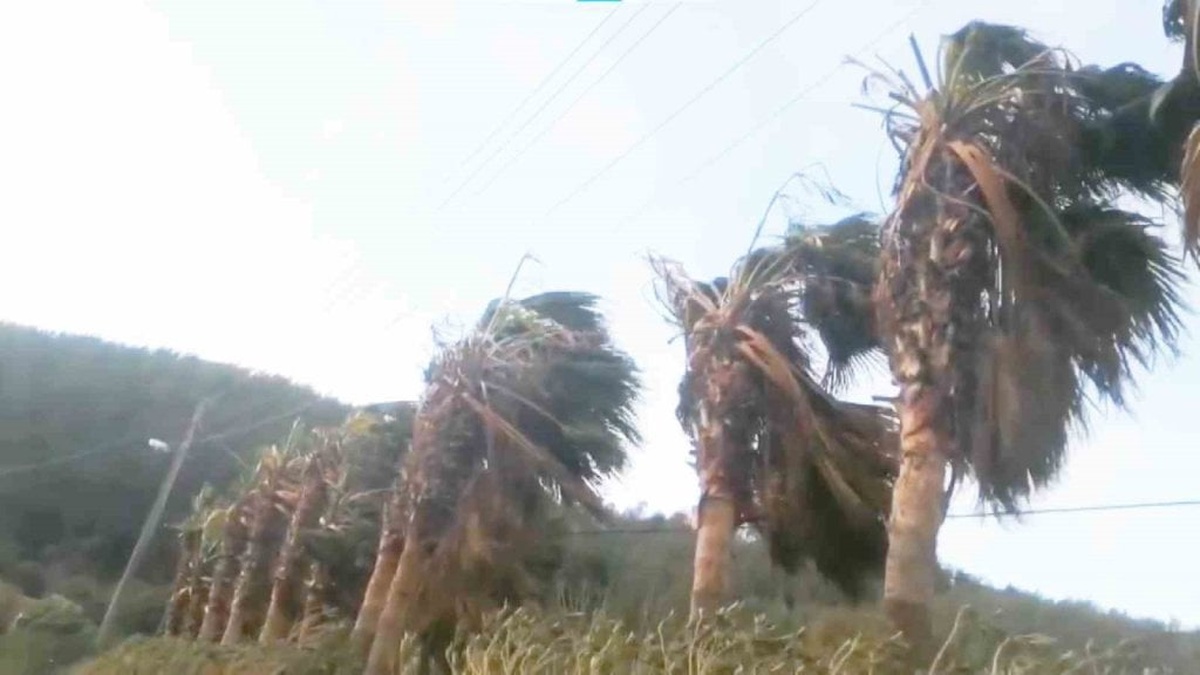 Muğla için fırtına uyarısı: Rüzgar hızı 90 km/saate ulaşabilir