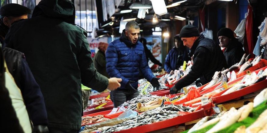Hamsi Güney Marmara'daki balıkçıların yüzünü güldürmeye başladı