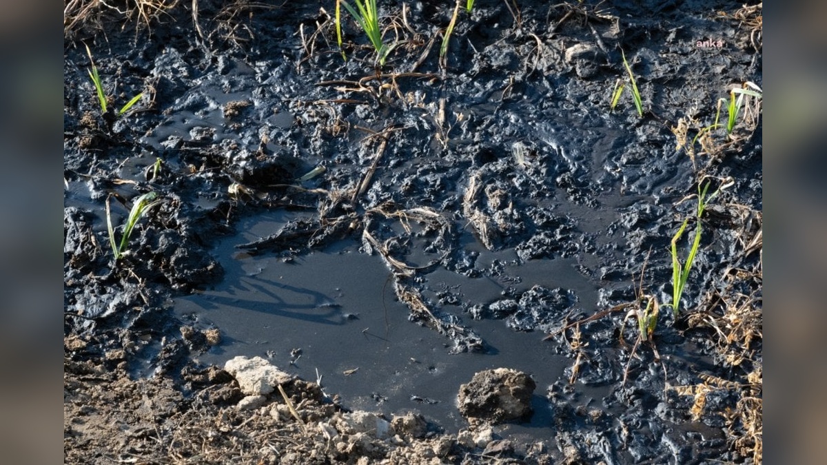 Manisa'da endüstriyel atık skandalı: Gediz Nehri kirletildi