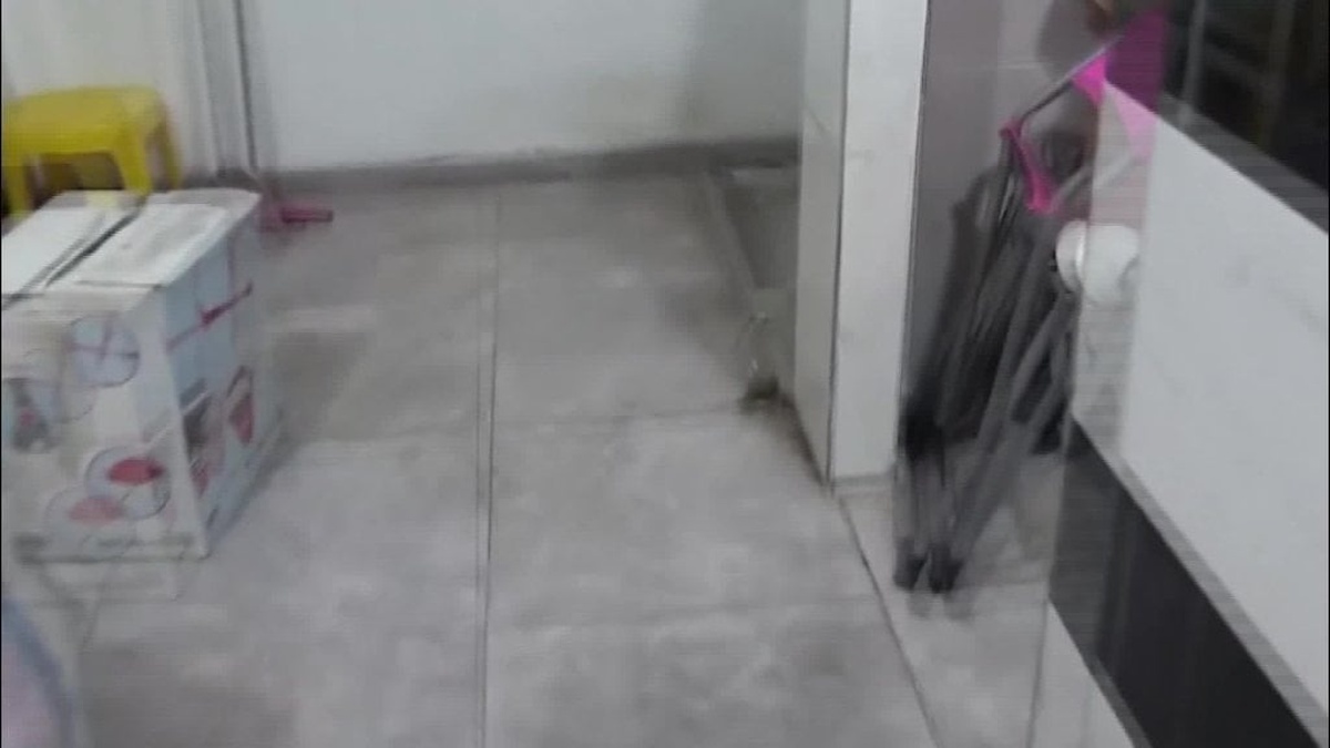 Diyarbakır’da oyuncakçı dükkanı silah atölyesine dönüştürülmüş: Cephanelik ele geçirildi