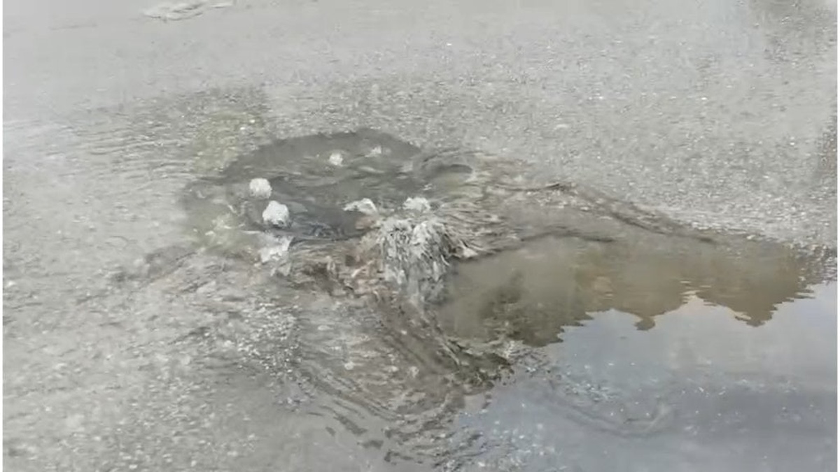 Çevre, Şehircilik ve İklim Değişikliği Bakanlığı: Çınarcık Belediyesi'ne 1 milyon 337 bin TL ceza kesti