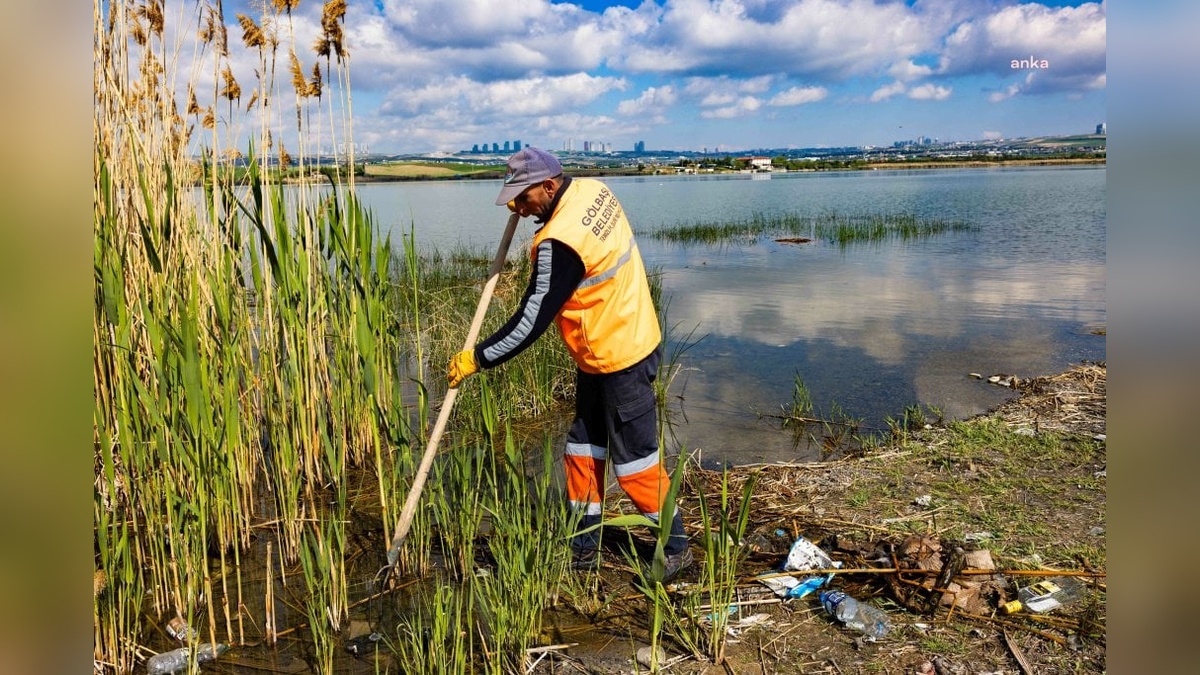 Gölbaşı Belediyesi'nden Mogan Gölü’ne çevre temizliği: Doğal yaşam korunuyor