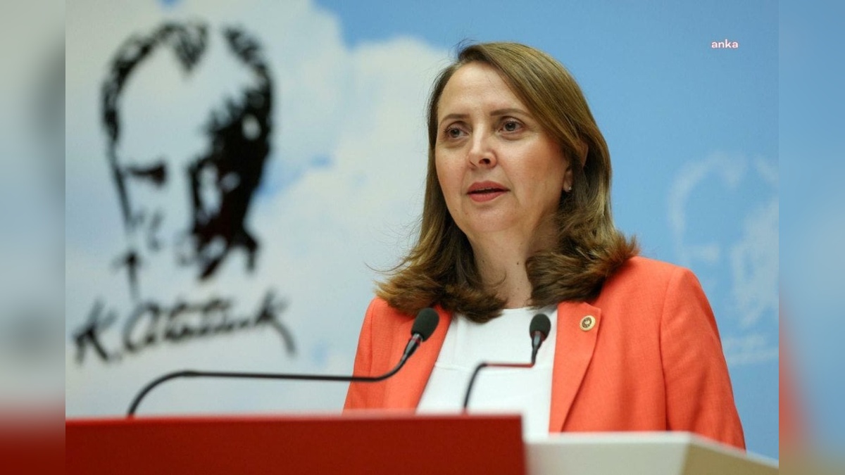 CHP Milletvekili Dinçer: Yeni teşvik politikaları kadınları toplumsal yaşamdan dışlayabilir