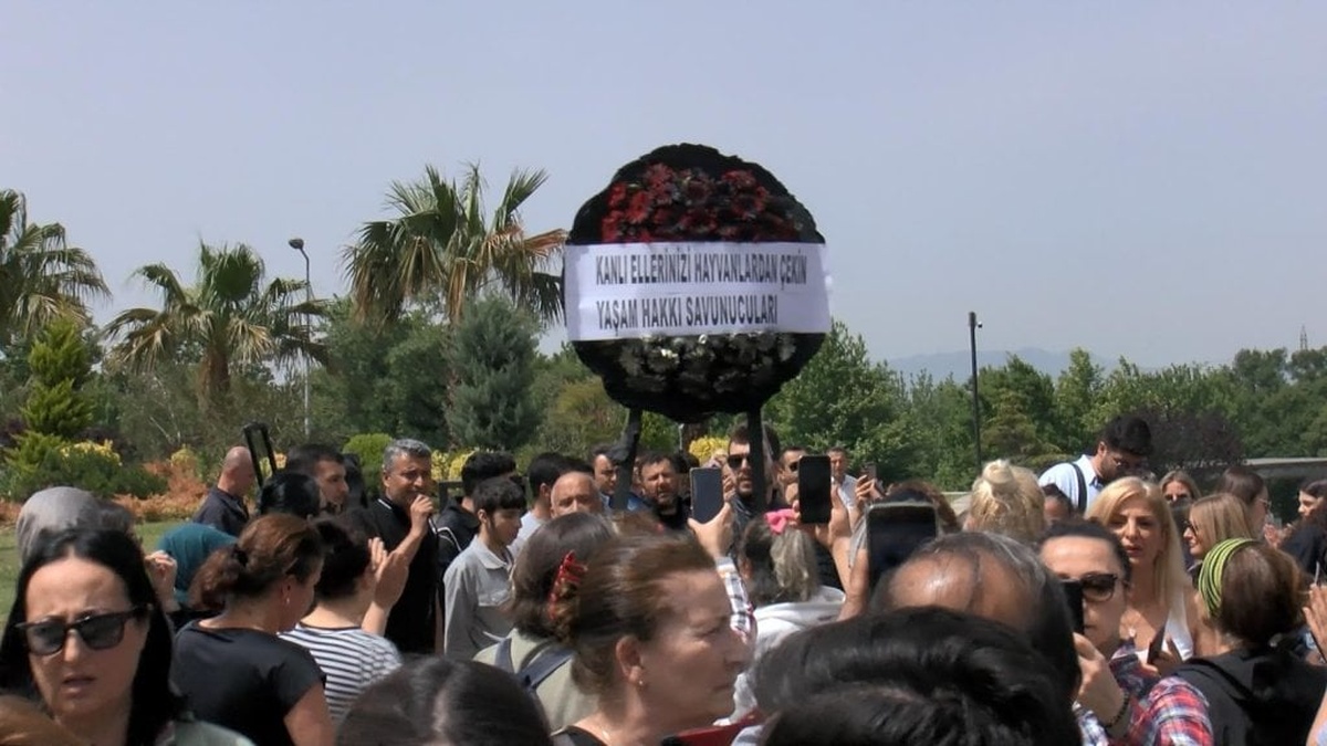 Bursa'da hayvan barınağında katliam iddiası: Hayvanseverlerden tepki