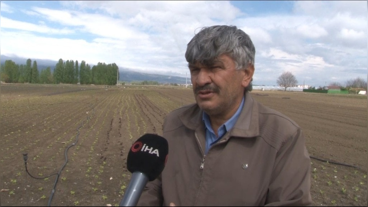 Eskişehir Yeşil Sakarya Üreticiler Birliği Başkanı Buluşan: Yağış yetersizliği fiyatları olumsuz etkiledi