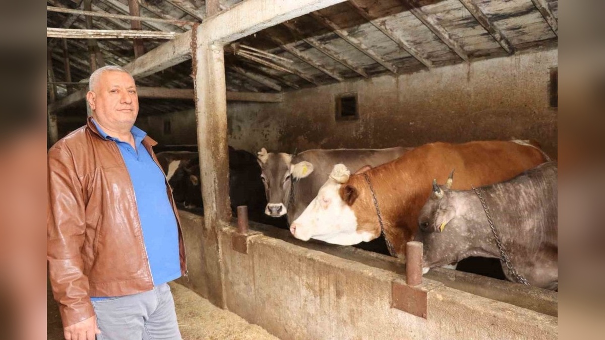 Erzurum'da Kurban Bayramı öncesi hayvan pazarları hareketlendi: Fiyatlar 85 bin liradan başlıyor