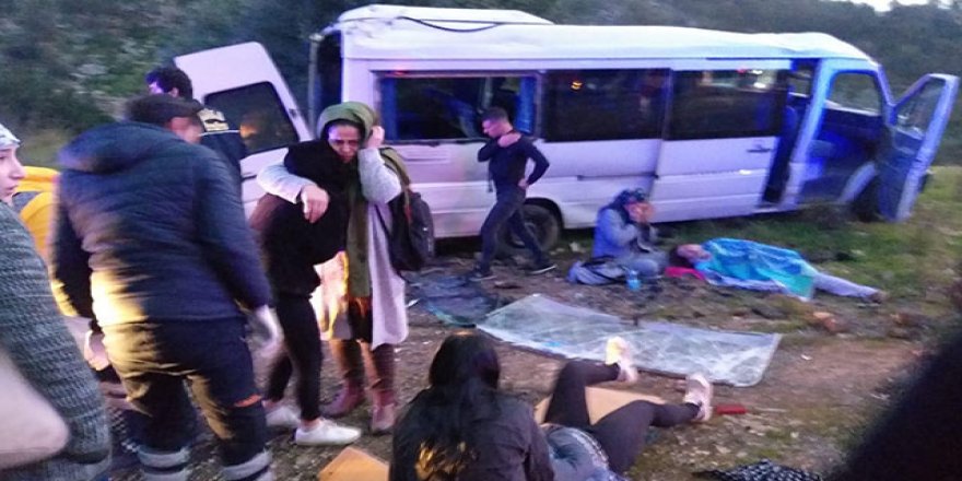 Kamyonette piton, mandarin ördeği ve sakarca kazı ele geçirildi