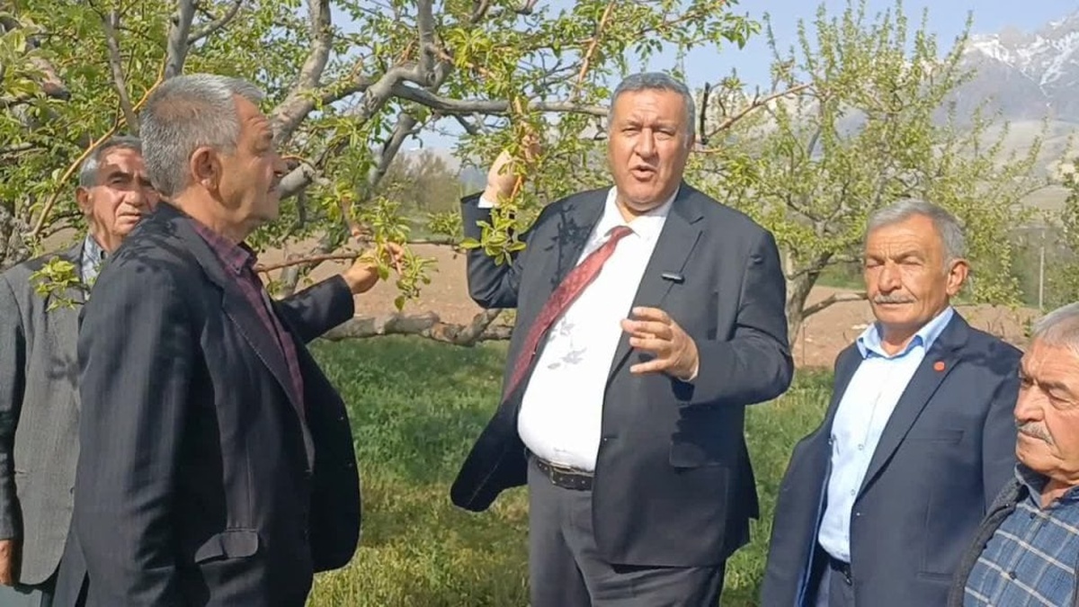 Çamardı'da don felaketi: Üreticiler umutsuz