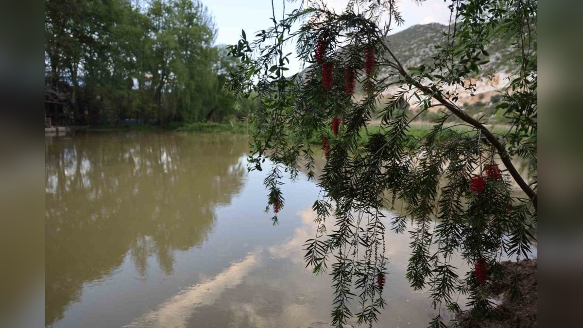 Kozan'da yağmurlar bereket getirdi: Kuruyan dereler ve nehirler yeniden canlandı