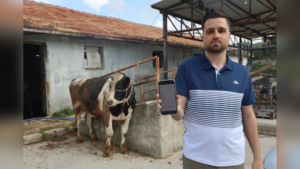 Hatay'da Besici Nuri Başak, Kurbanlık Tosun Alırken 200 Bin TL Dolandırıldı: 'Ava giderken avlandık'