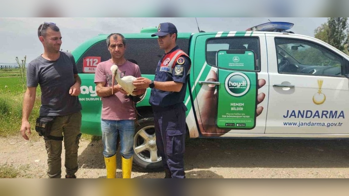 Aydın'da yaralı leylek, tedavinin ardından doğaya döndü