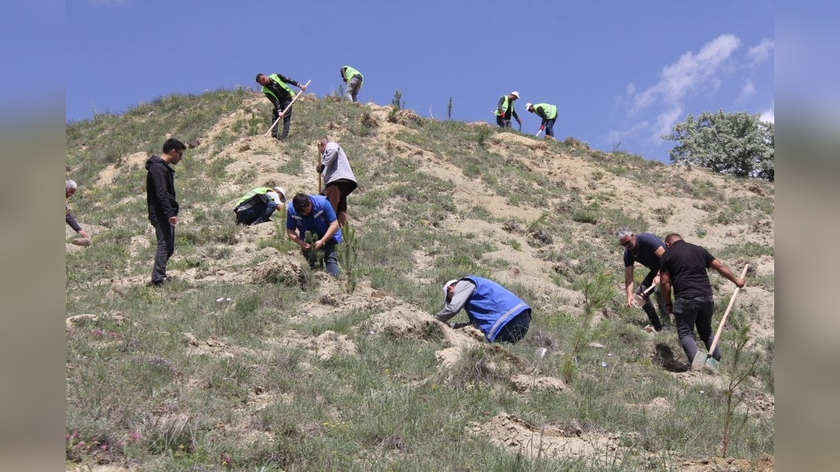 Sivas Belediyesi'nden vefa ormanı: 535 fidan toprakla buluştu