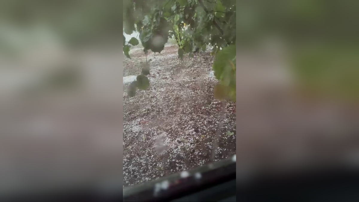 Sakarya'da fırtına, sağanak ve dolu etkili oldu: Fındık üreticileri endişeli