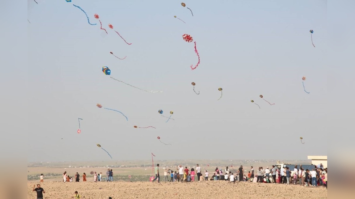 Ceylanpınar'da uçurtma şenliği: Gökyüzü renklendi