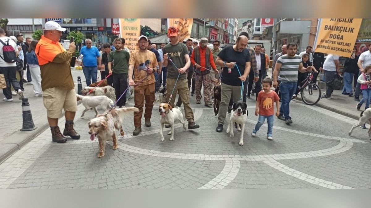 Devrek'te avcılar ve av köpekleri buluştu