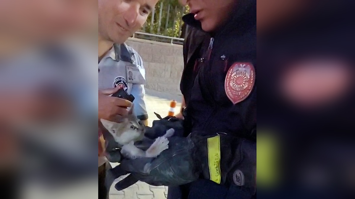 Konya'da park halindeki otomobilin motoruna giren kedi, itfaiye tarafından kurtarıldı