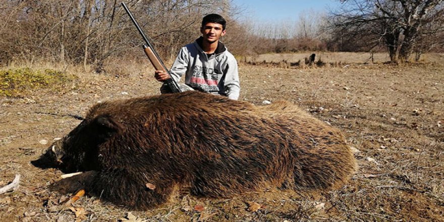 Çiftçilerin kabusu olmuştu! 'Çal Canavarı' öldürüldü