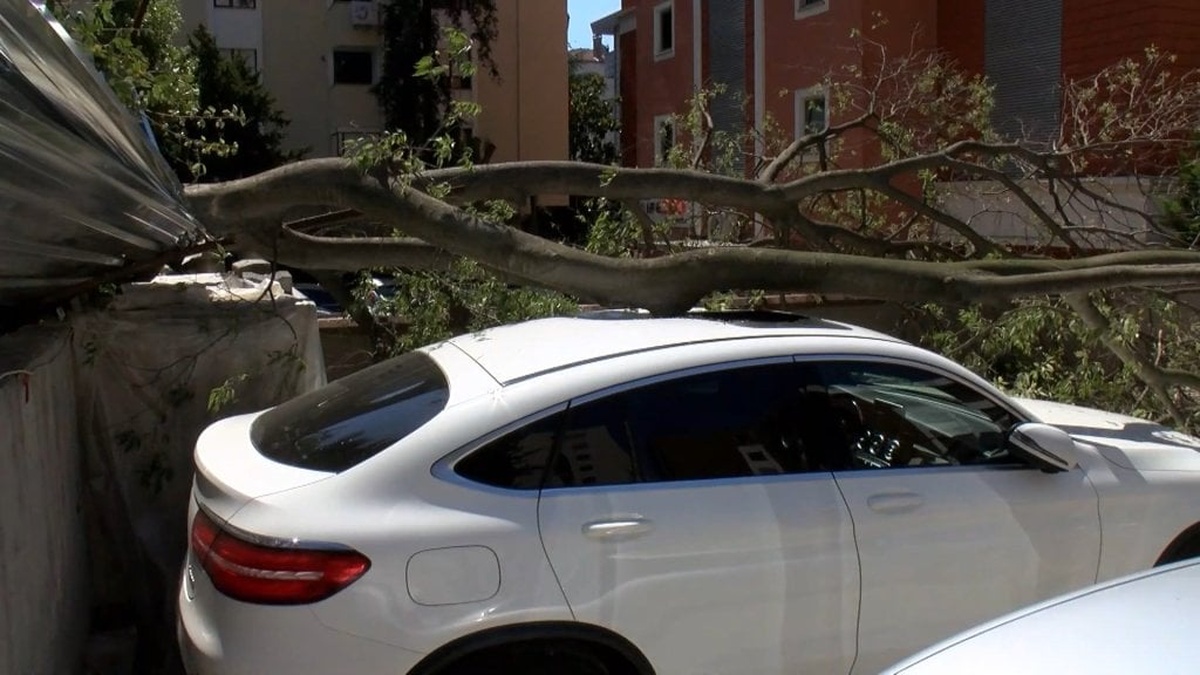 Kadıköy'de inşaat alanındaki ağaç otomobilin üzerine devrildi