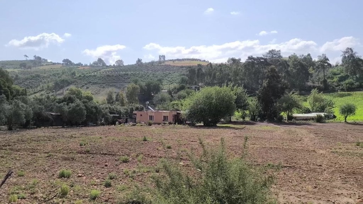 Osmaniye'de köy sakinleri milli park sorunu nedeniyle mağdur