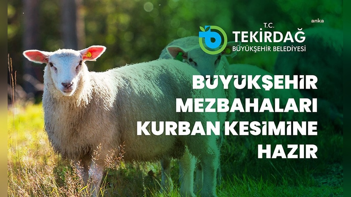 Tekirdağ Büyükşehir Belediyesi: Kurban Bayramı'nda vatandaşlara kesim hizmeti verecek