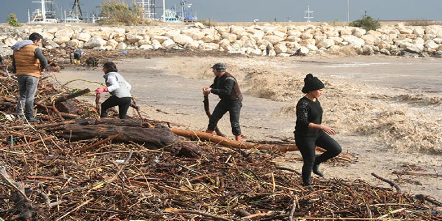 Selde sürüklenen kütükleri yakmak için topladılar