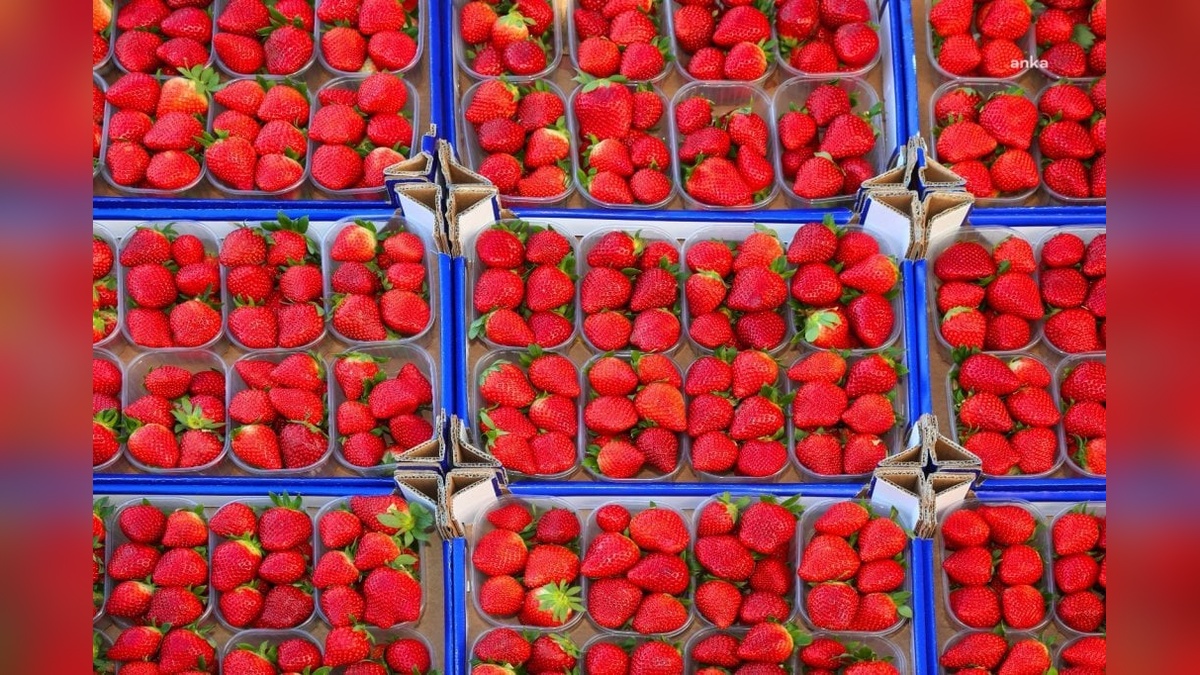 İstanbullular nisan ayında 205 bin ton meyve sebze tüketti