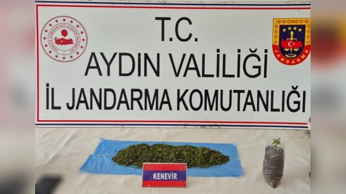 Aydın'da uyuşturucu operasyonu: 36 şüpheli yakalandı