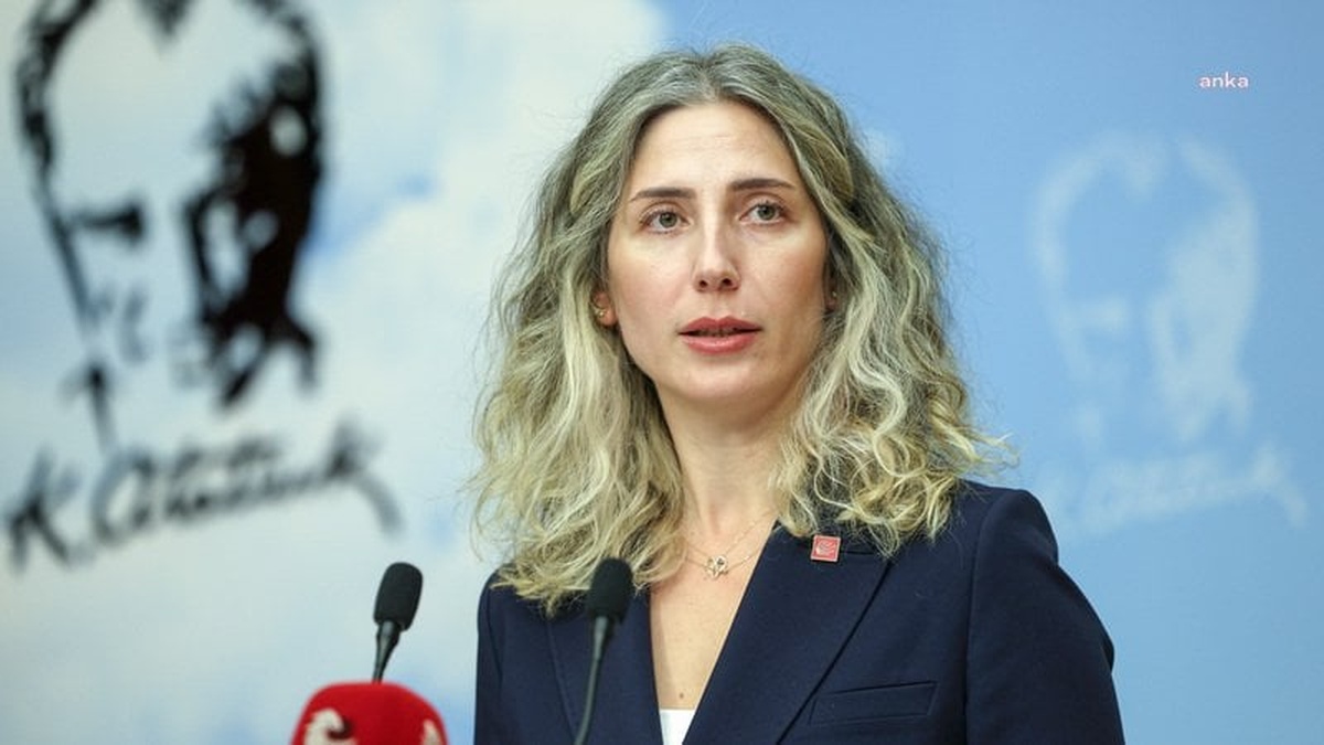 CHP'li Atalar'dan Devlet Tiyatroları biletlerine zam tepkisi: Tiyatroya erişim temel bir haktır