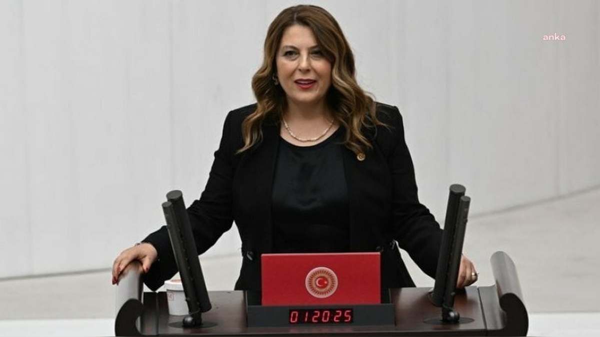 CHP'li Gezmiş'ten Alagöz Maden'e tepki: 'Çevre ve halk sağlığına açık bir tehdit'