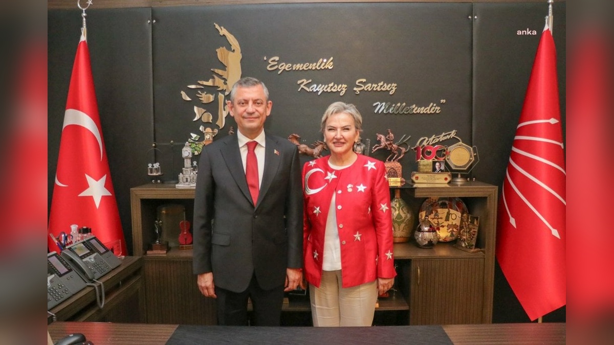 CHP’den hayvan bakımevleri için yeni komisyon