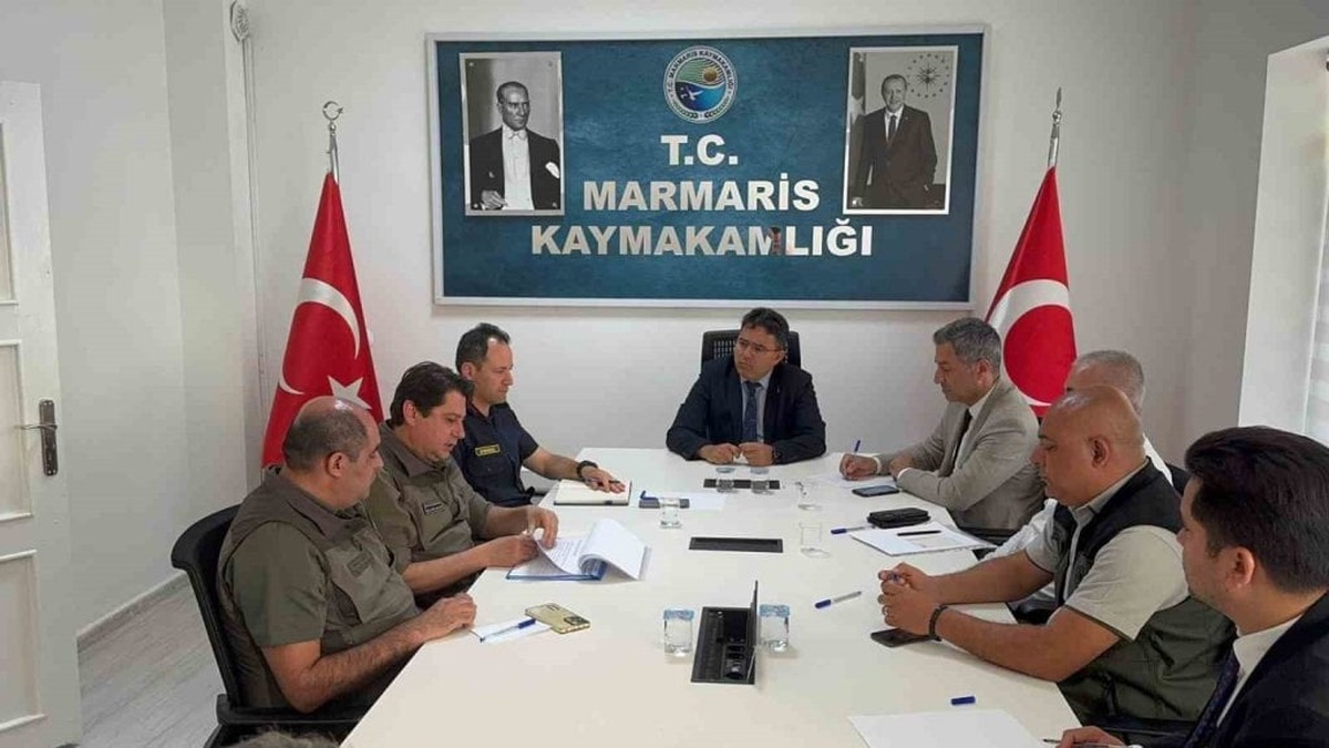 Marmaris'te yaban domuzları için sürek avı kararı