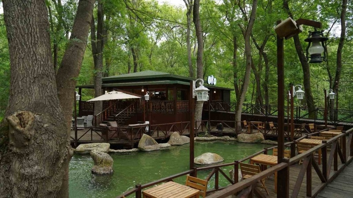 Atakum Belediyesi'nden Çakırlar Korusu'na yeni soluk: Ata Cafe hizmete girdi