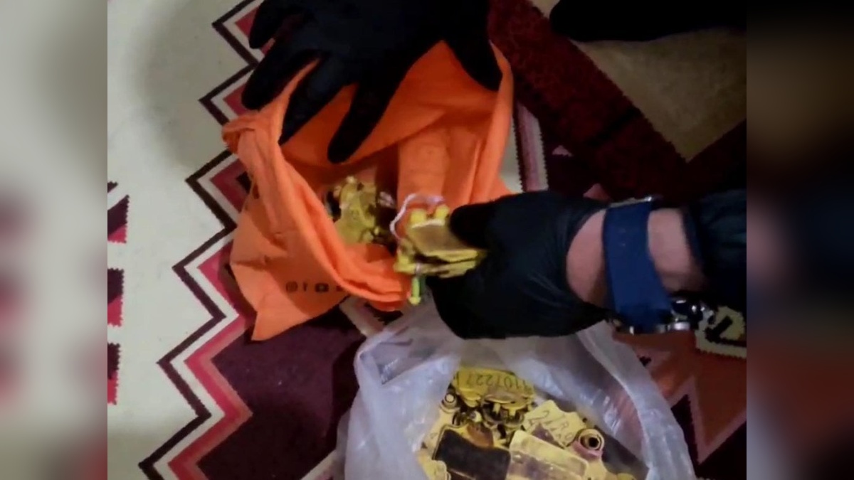 Ağrı'da usulsüz hayvan sevk belgesi operasyonu: 9 gözaltı