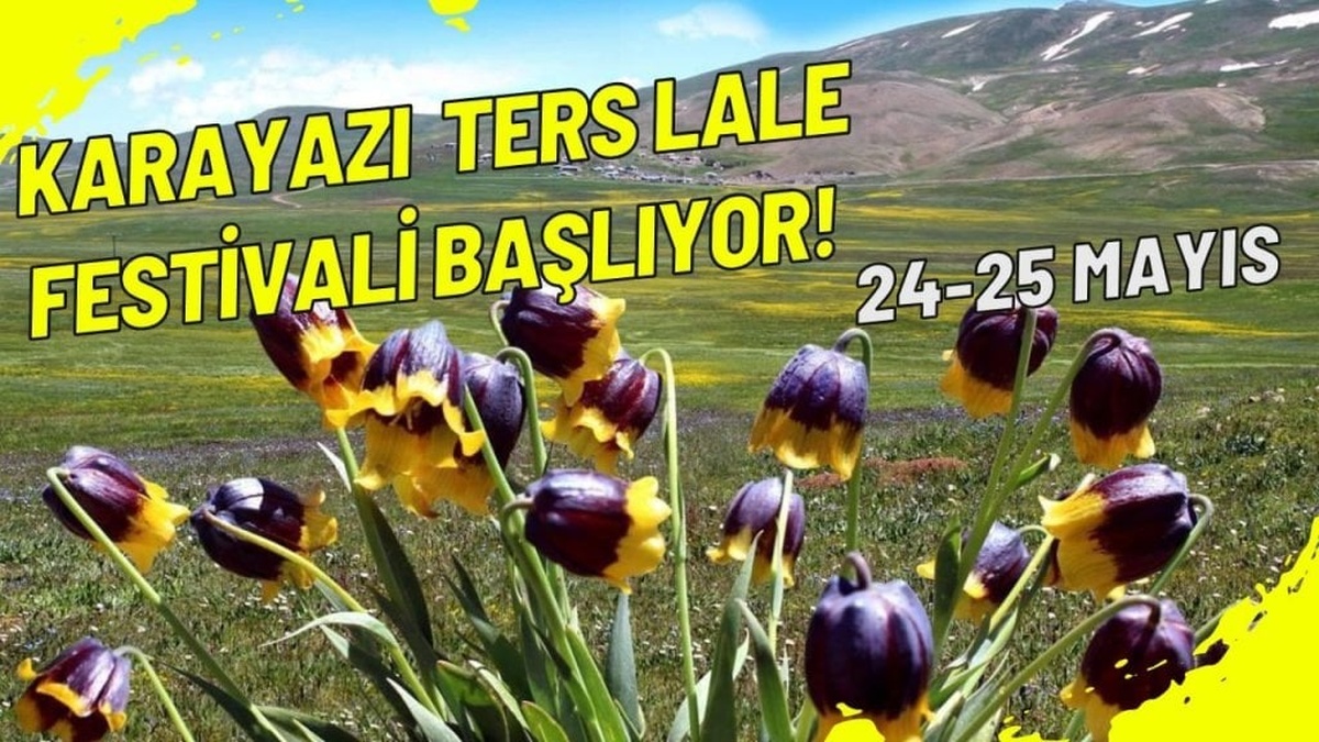 Karayazı Tanıtım ve Ters Lale Festivali, 24-25 Mayıs'ta kapılarını açıyor