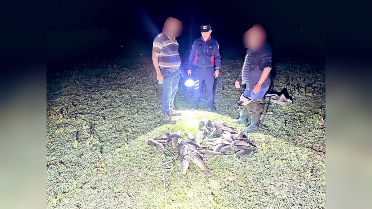 Bursa'da kaçak avlanan 466 kilo balık ele geçirildi