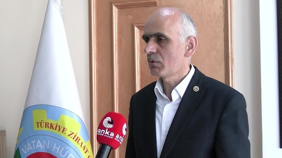 Giresun Ziraat Odası Başkanı Karan: Fındık rekoltesi 500 bin tonun altında kalabilir