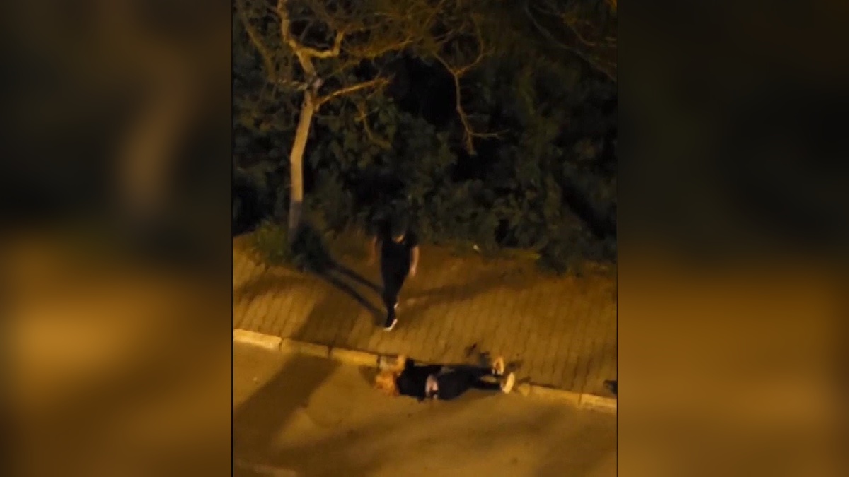 Beylikdüzü'nde eşini bıçaklayan sanık: Tahliyemi talep ederim